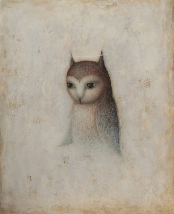 paul-barnes-owl
