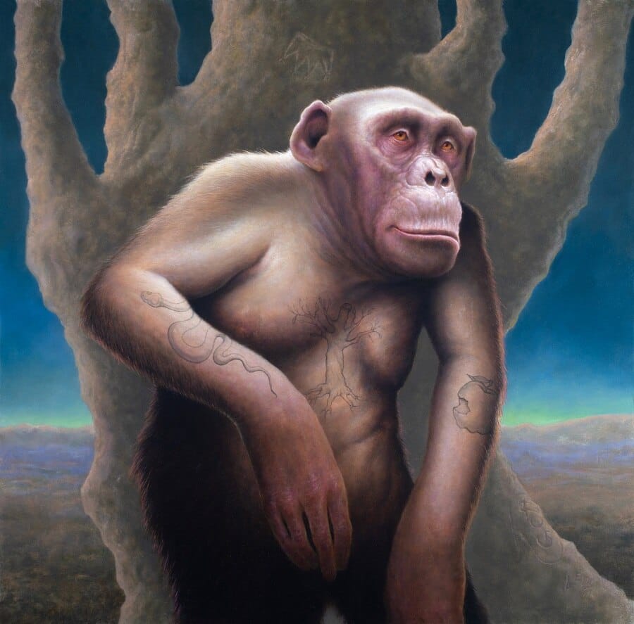 chris-leib-Bonobo