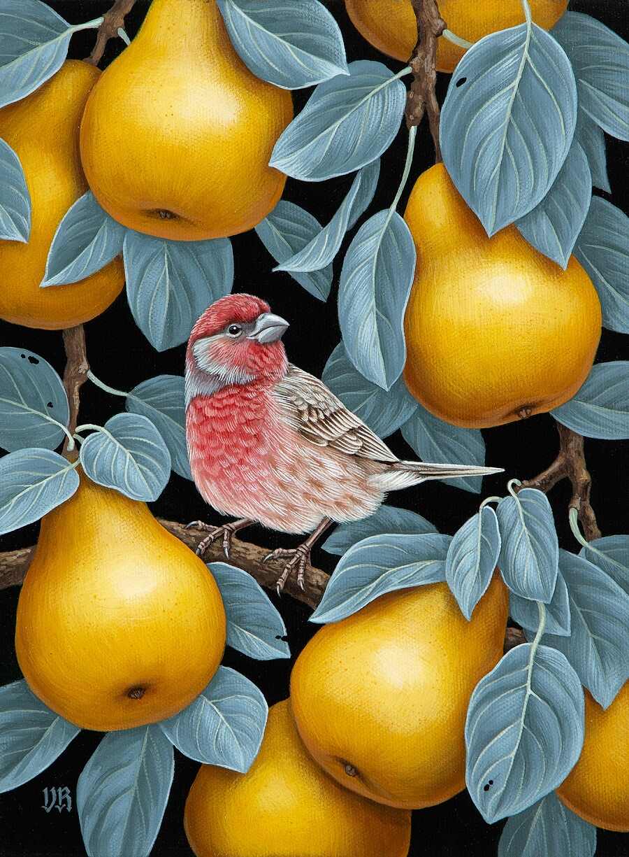 Vasilisa-Romanenko-pear