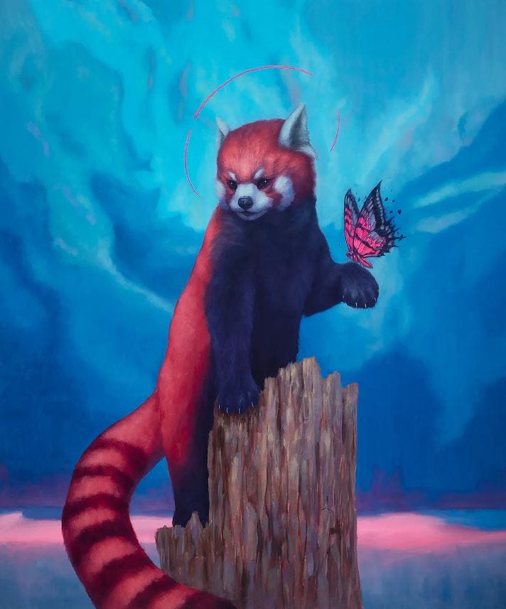 Cody-jimenez-animals