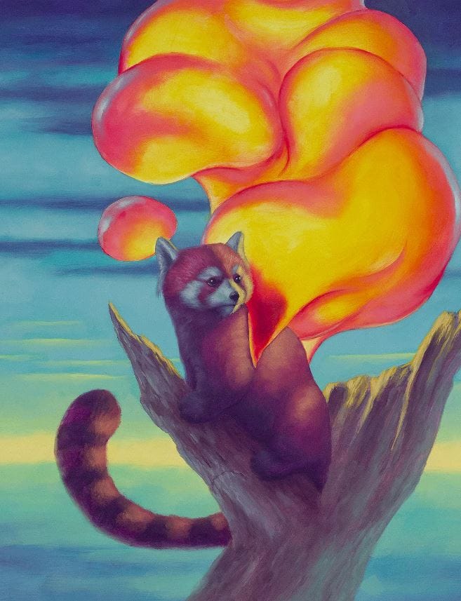 Cody-jimenez-wildlife
