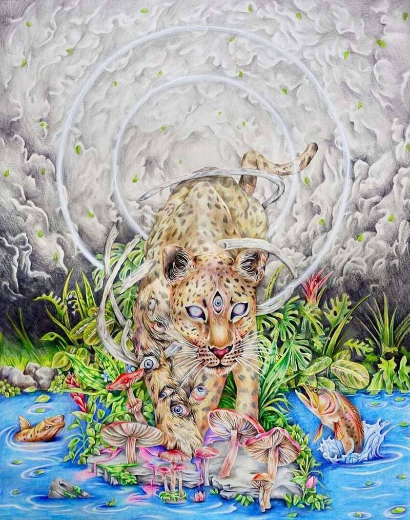 Jamie Forbes Leopard Drawing