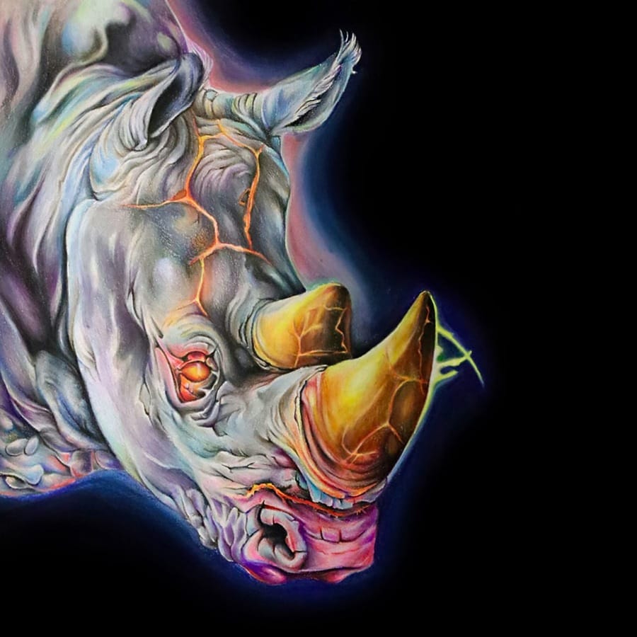 jamie forbes colour drawing of a rhino