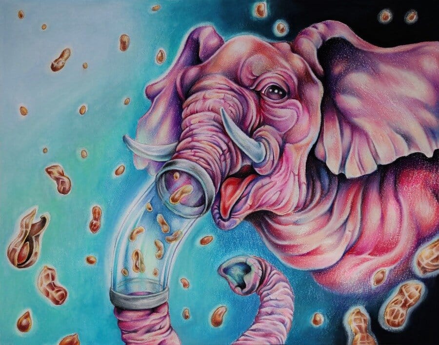 jamie forbes drawing of elephant