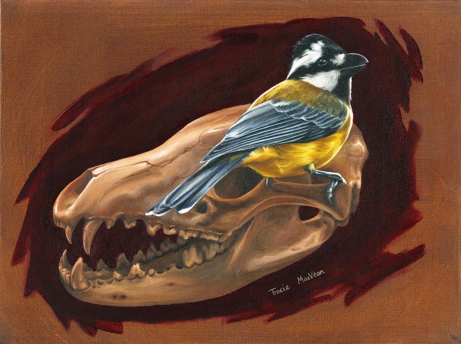 Tracie-MacVean-skull