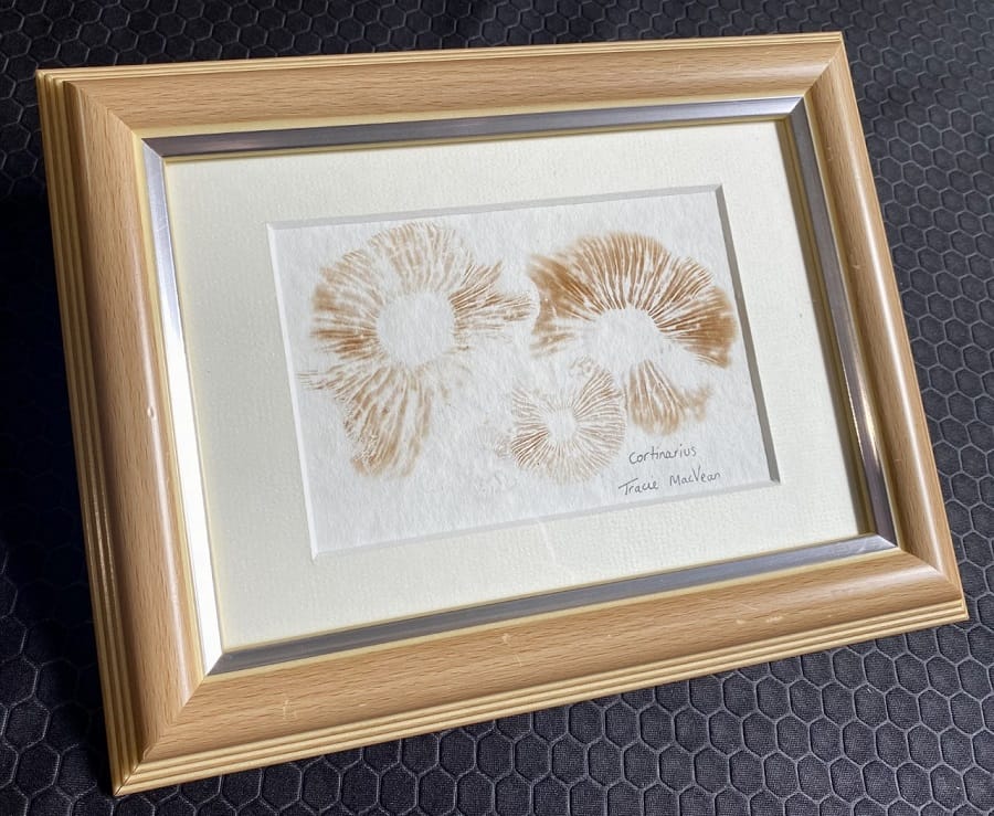 Tracie-MacVean-spore-prints