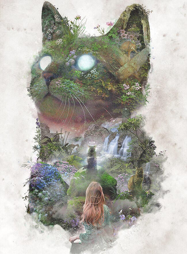 Barrett-Bigger-cat-art