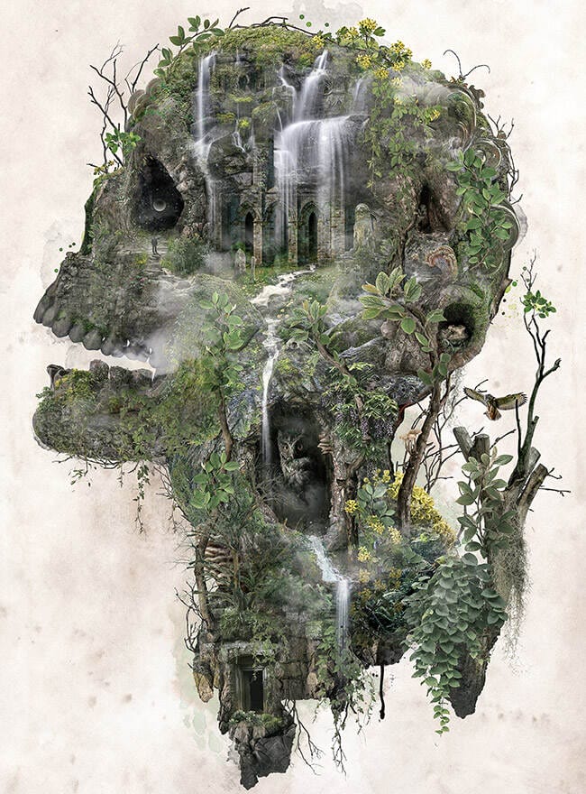 Barrett-Bigger-skull-art