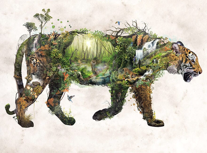 Barrett-Bigger-tiger