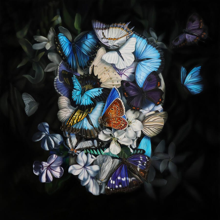 Clare-Toms