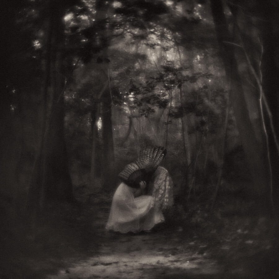 Sharon-Covert-forest