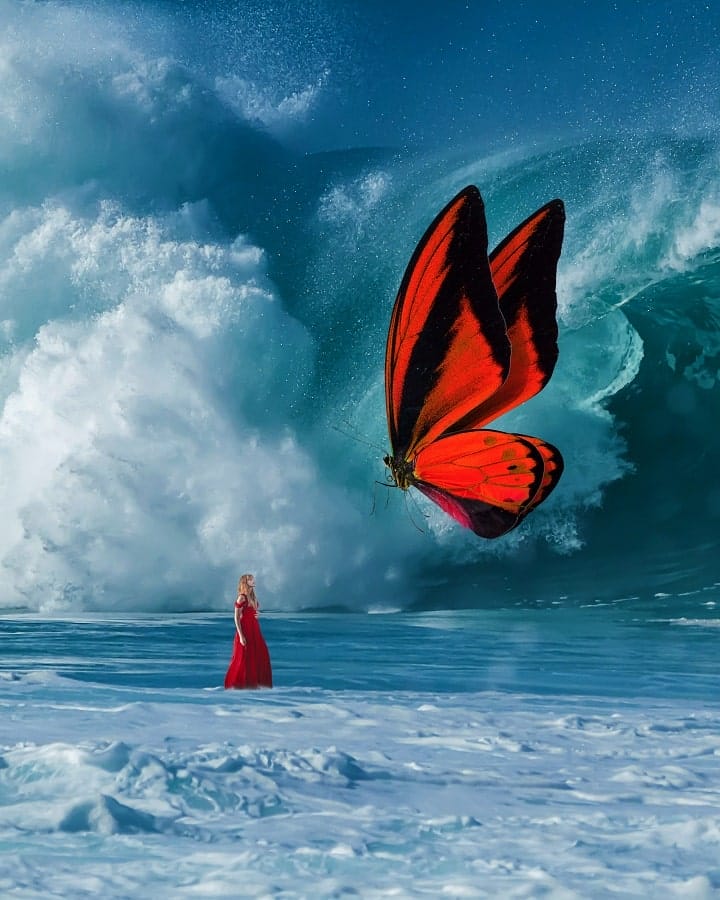 Ted-Chin-Butterfly-Digital