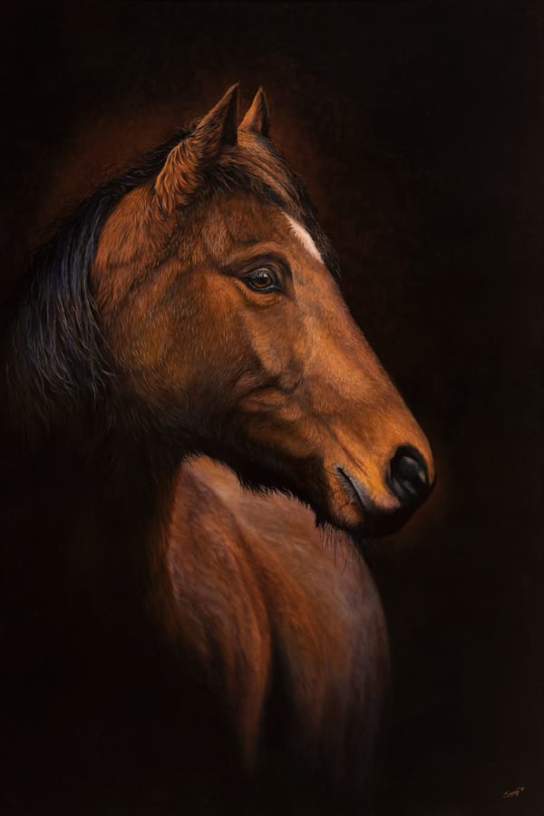le-magnifique-swapnil-nevgi