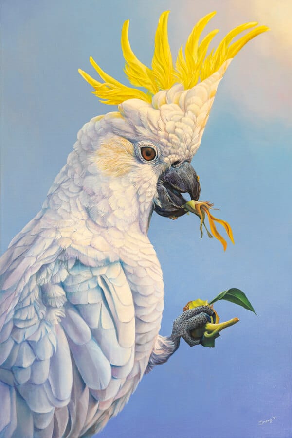 sunflower-thief-swapnil-nevgi