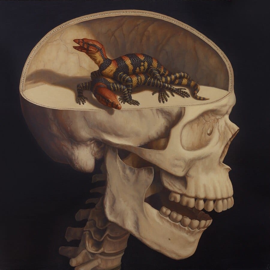 Sandra-Yagi-Lizardbrain