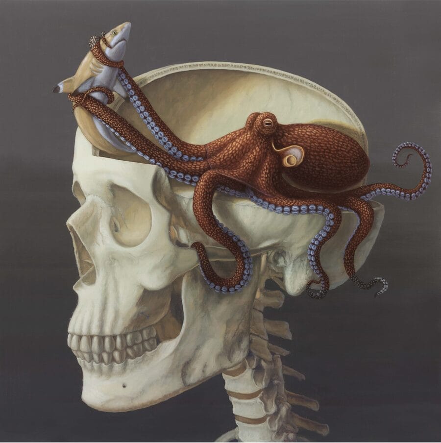 Sandra-Yagi-Octoskull