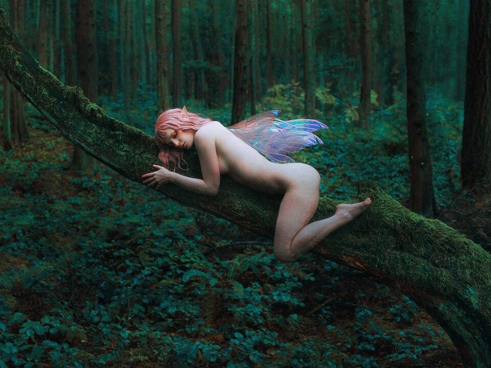 Kindra-Nikole-fae
