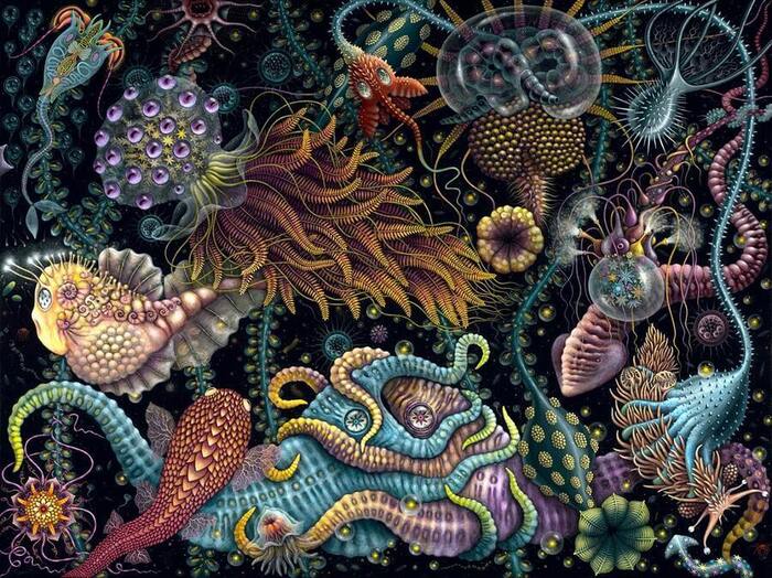Robert-Steven-Connett-Aquaverse