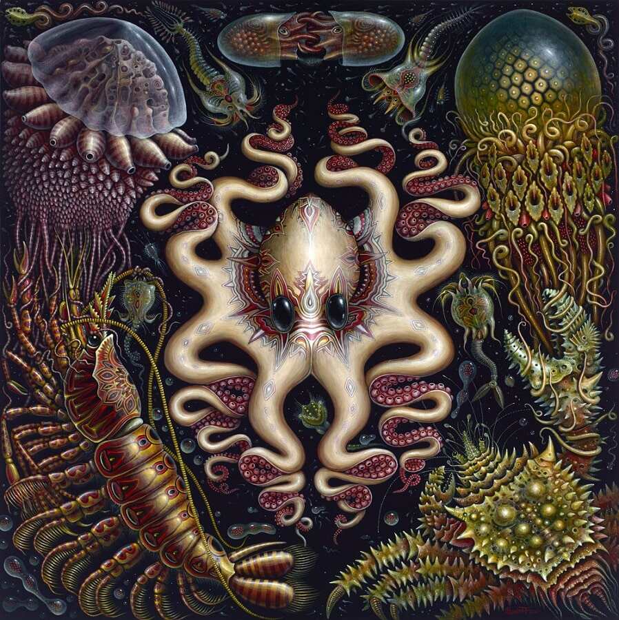 Robert-Steven-Connett-Seafauna