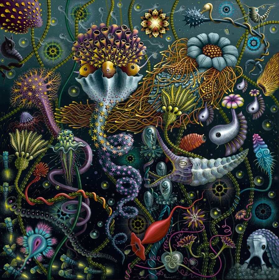 Robert-Steven-Connett-Space-Plankton-II