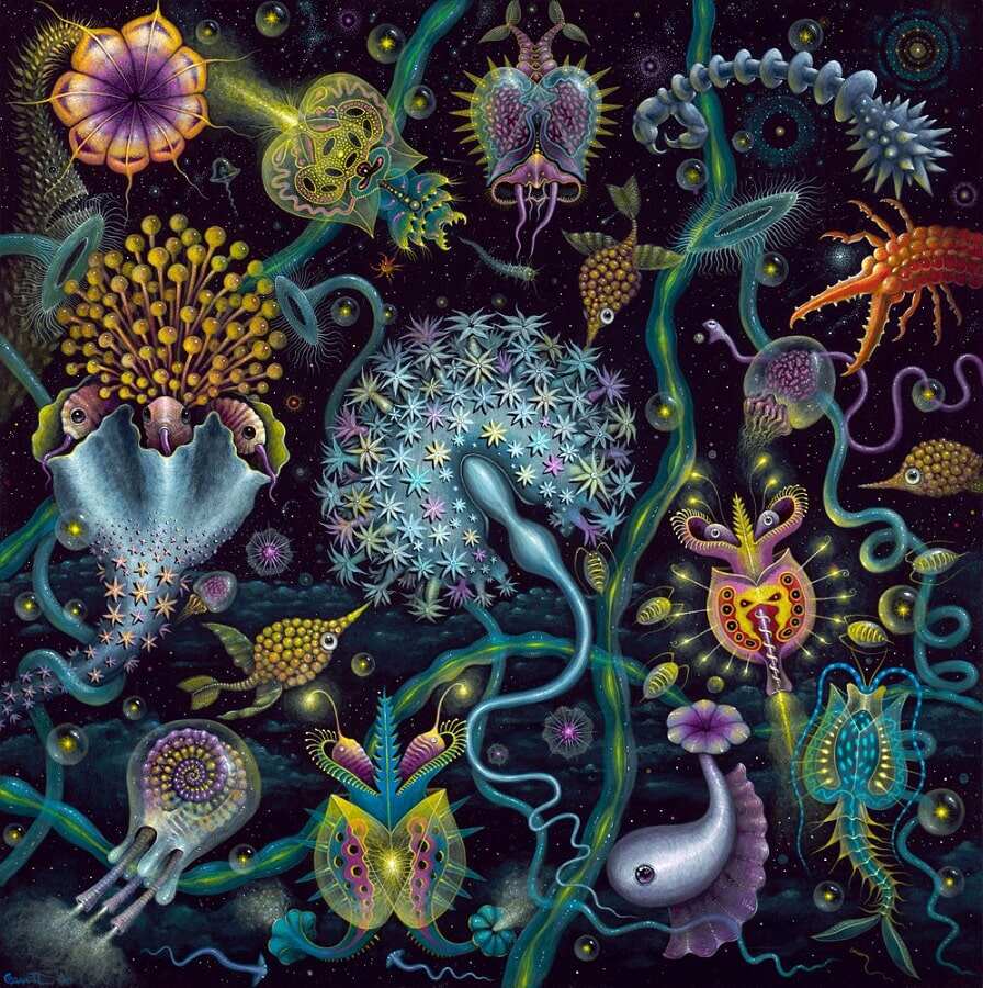 Robert-Steven-Connett-Space-Plankton