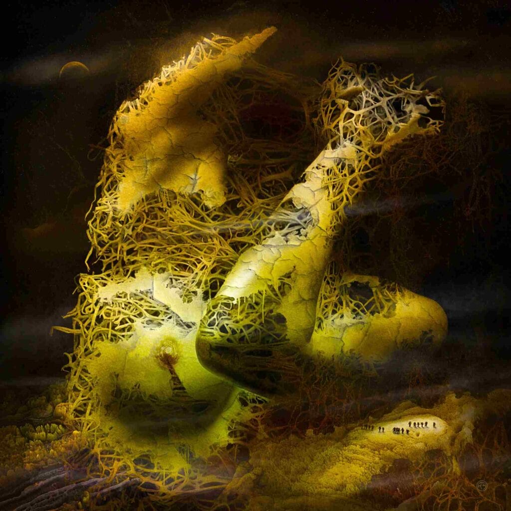 Adam-Strange-Biotic-Taphonomy  Metamorphosis Gallery Presents "Visceral Pleasures"