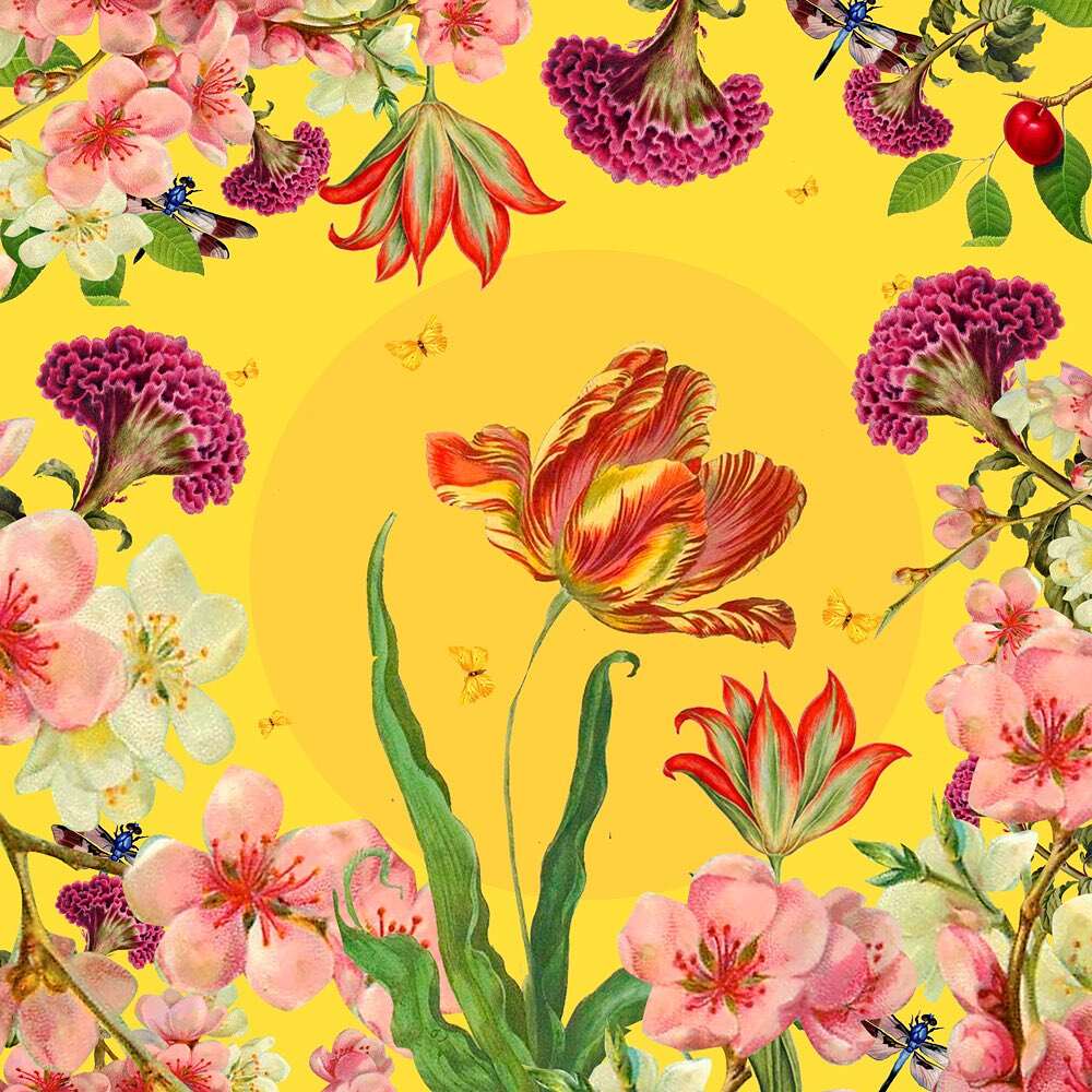 David-Krovblit-flowers