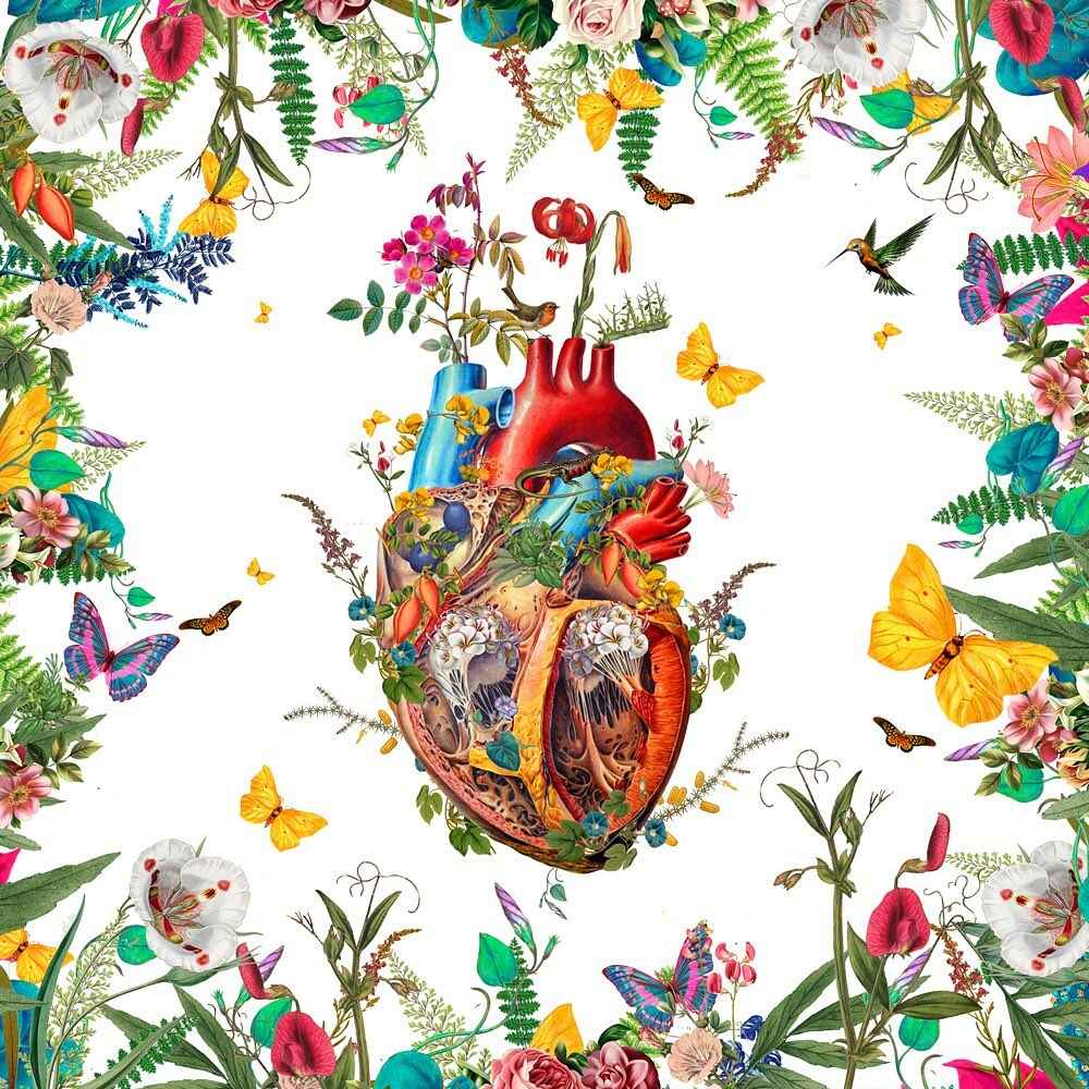 David-Krovblit-heart