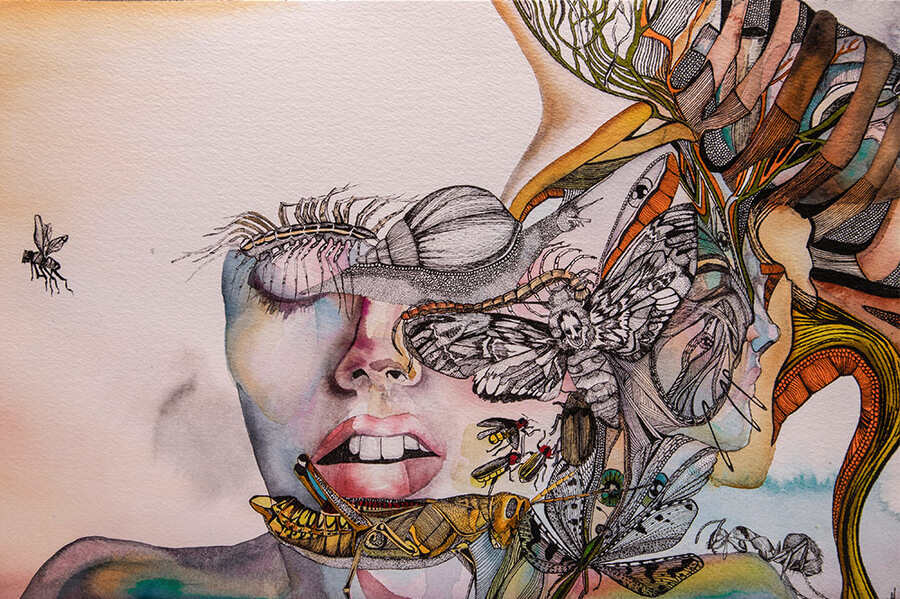 Hilary-Martin-Colony