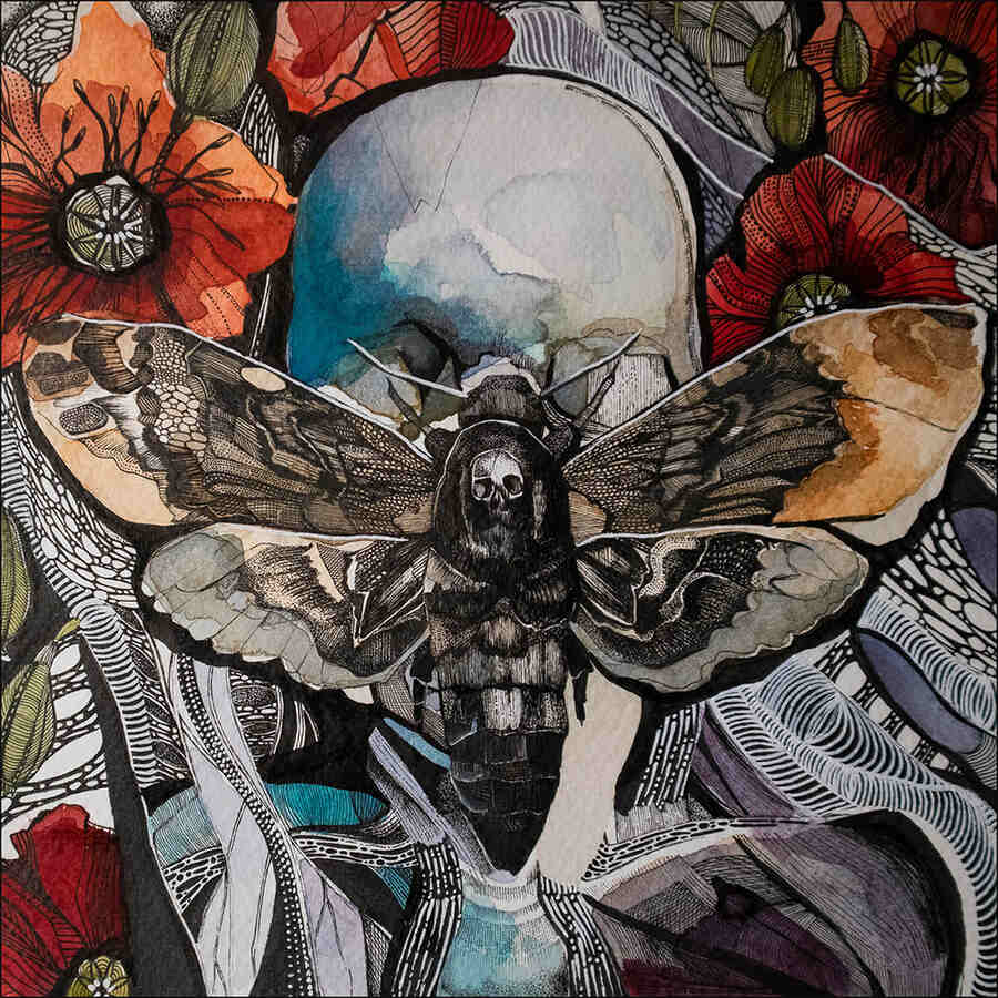 Hilary-Martin-Painted-Lady