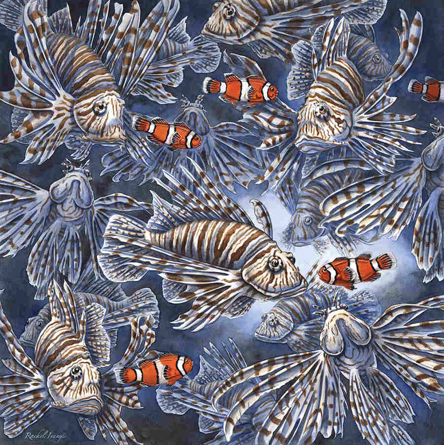 Rachel-Ivanyi-Finding-Nemo