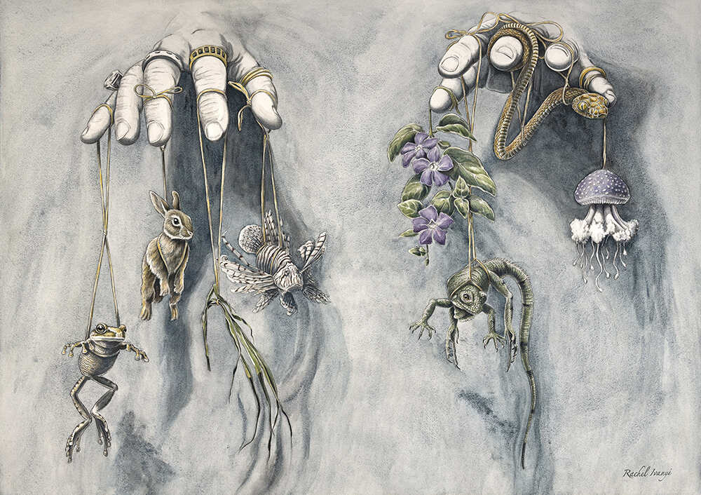 Rachel-Ivanyi-Puppet-Master