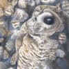 Rachel-Ivanyi-Redefining-Deciduous