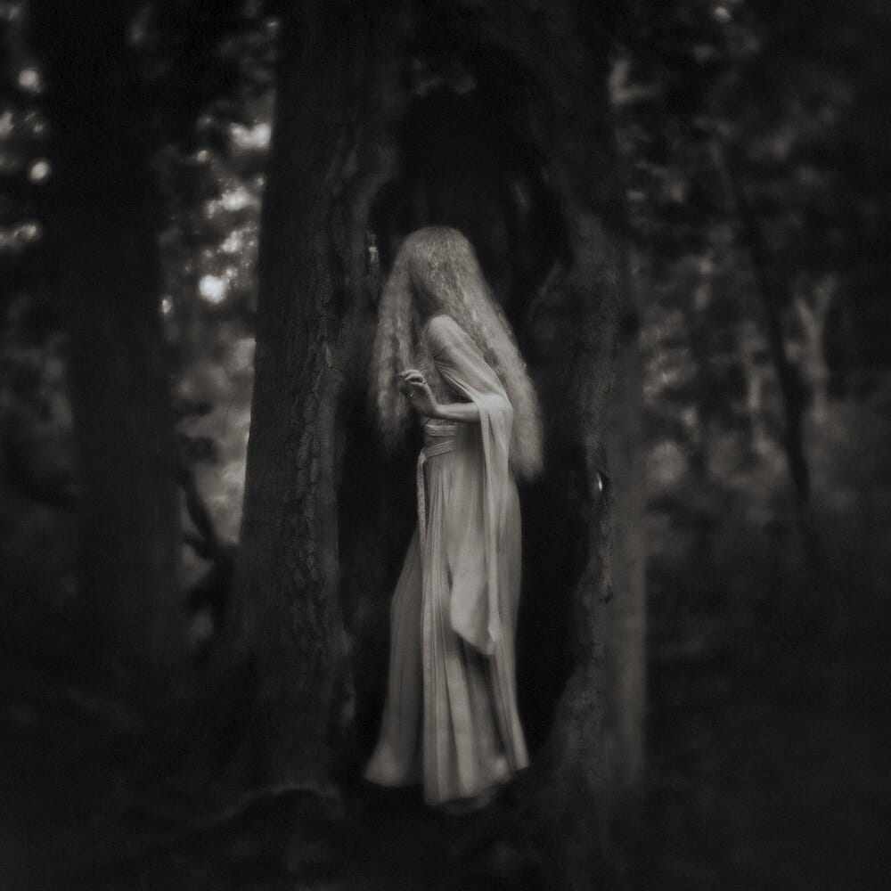 Sharon-Covert-art