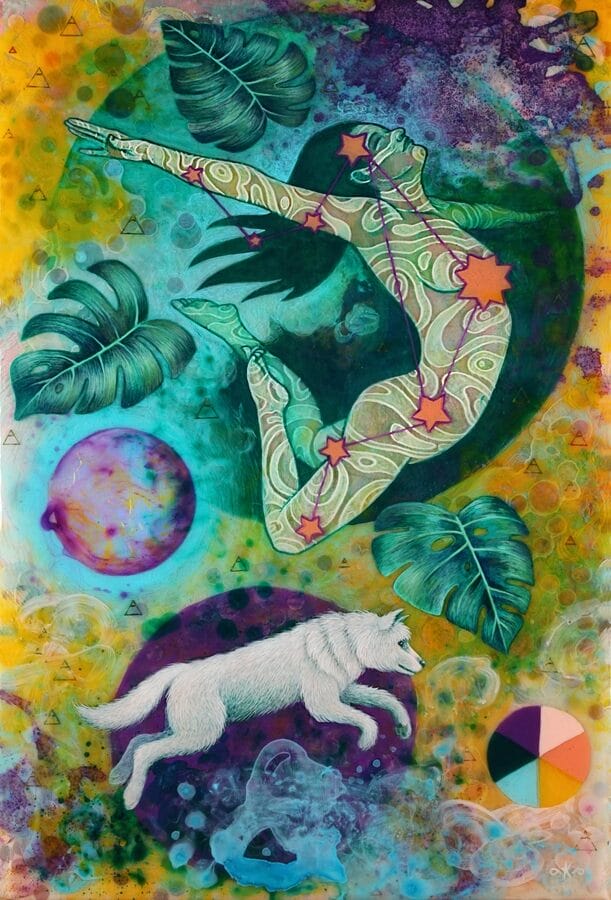 Amy-kollar-Anderson-wolf