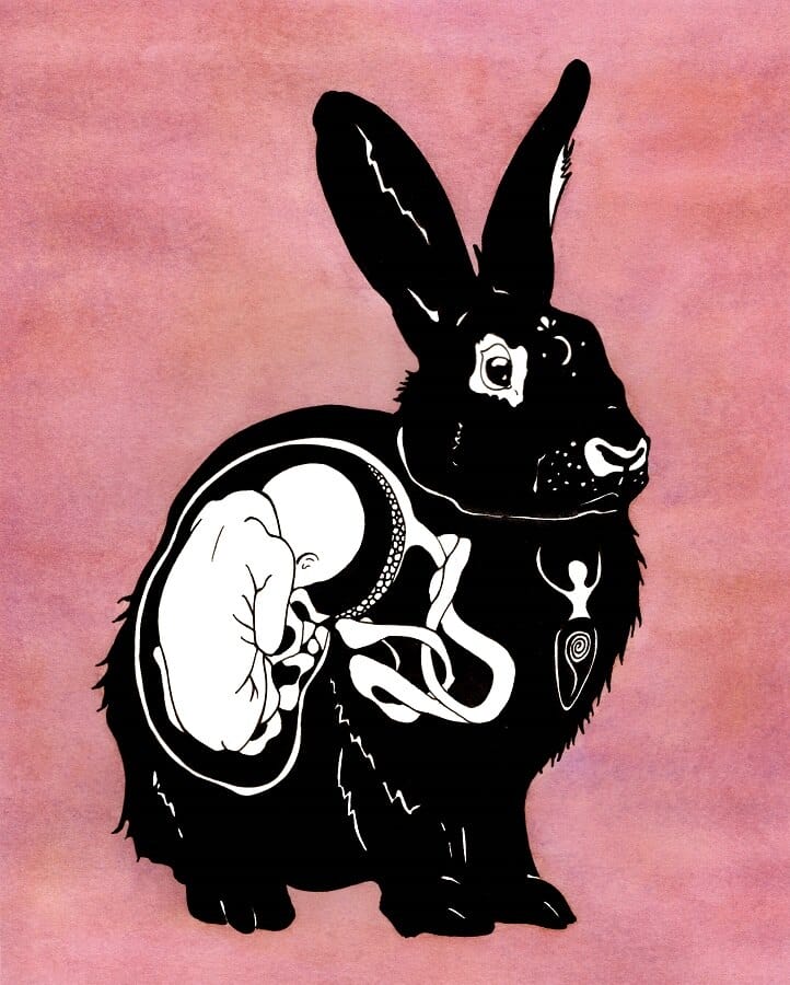 Kathleen-Harmon-bunny.