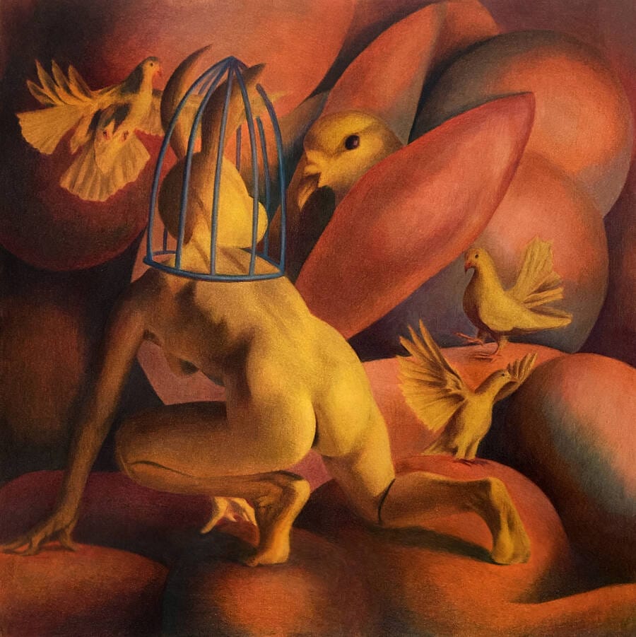 Pausha-Foley-rabbit-dove