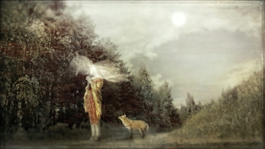 Ana-Priscila-Rodriquez-of-Wandering-Woman-Fox-Photography