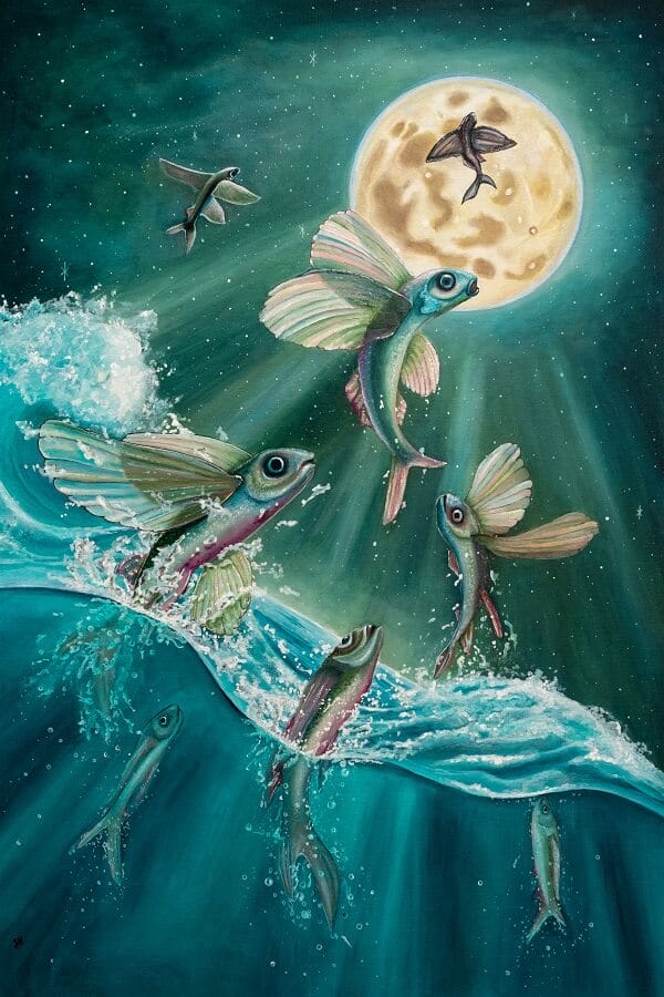 Saskia-Huitema-flying-fish