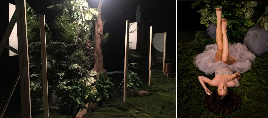 Tobias-Meier-tererrium