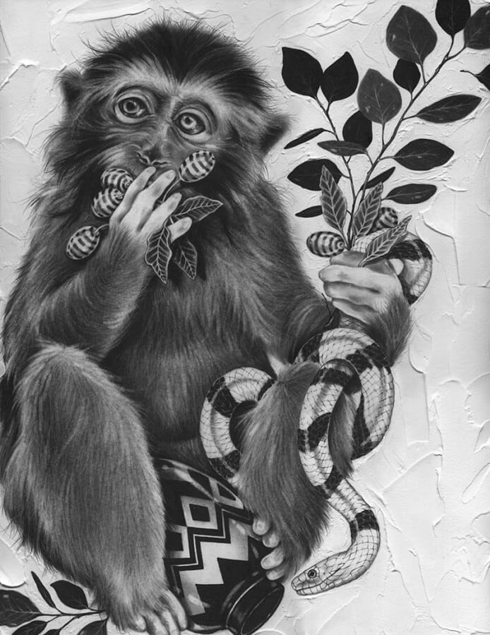 Nicomi-Nix-Turner-monkey
