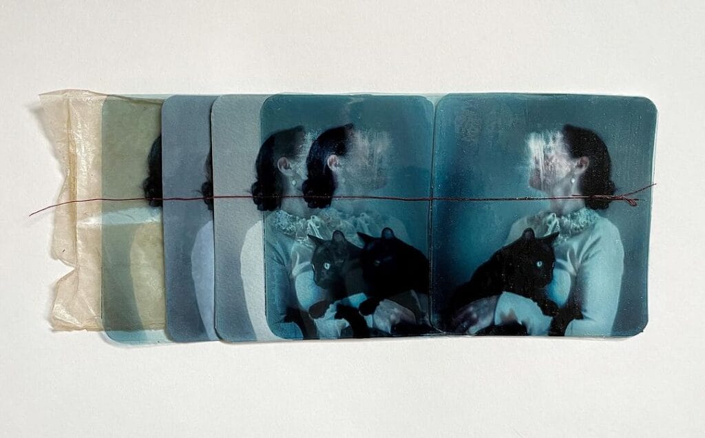 Ana Priscila Rodriguez photographs of a woman holding a cat 