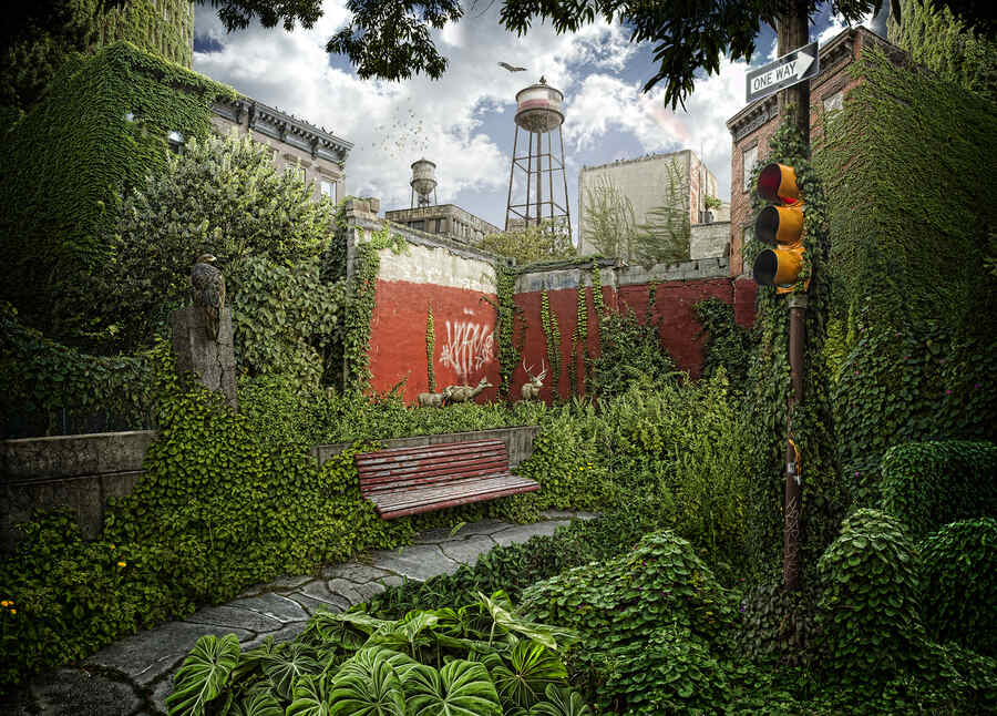 Nick-Pedersen-Backyard