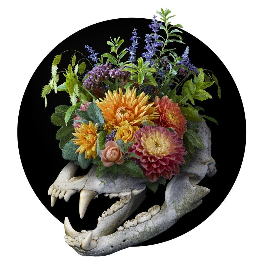 Nick-Pedersen-Flower-skull