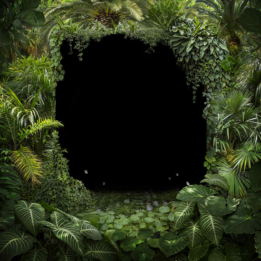 Nick-Pedersen-Hollow