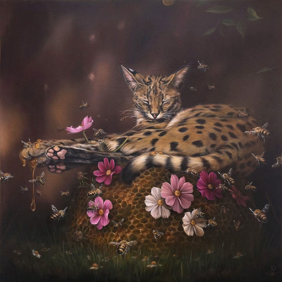 Dewi-Plass-Copro-Gallery