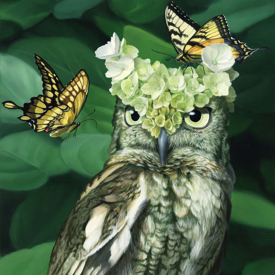 Jon-Ching-Copro-Gallery