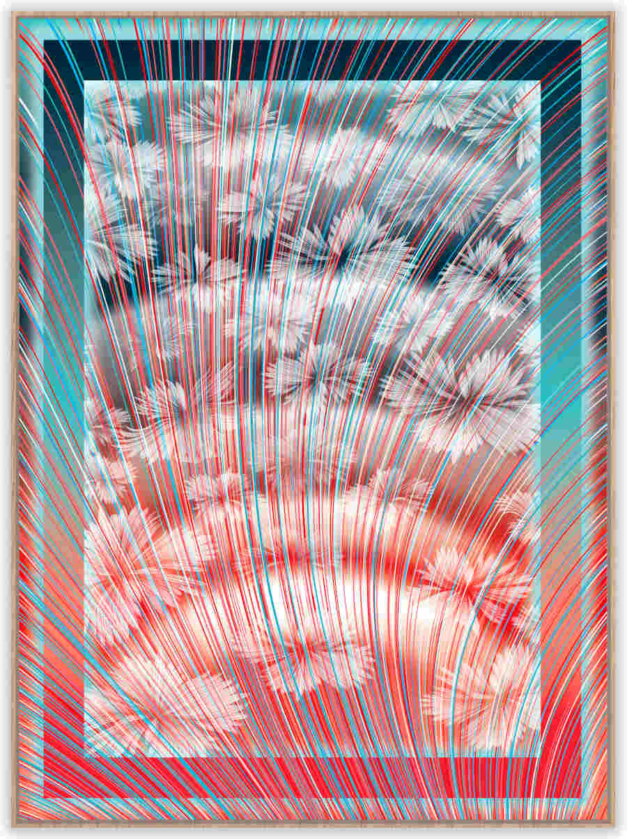 Wildflower-Ripple-Effect-Kai-Sunny