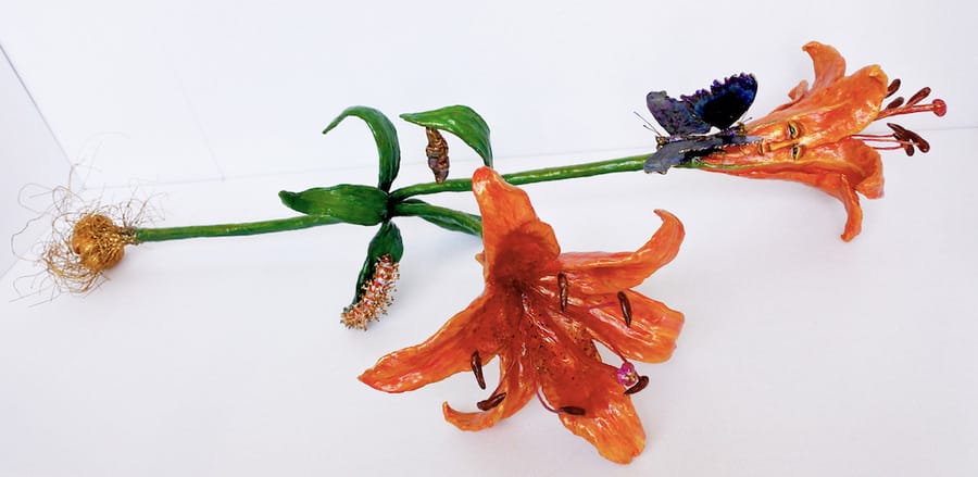 Maya-Mekira-lily