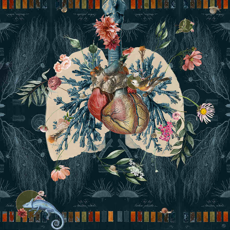 Amy-Salomone-imaginary